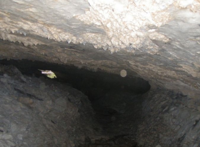  Gruta y Espeleología con GR Aventure 